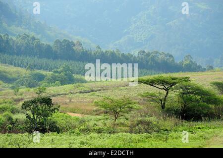 Swaziland Hhohho district Ezulwini valley (valley of Heaven) Mlilwane Wildlife Sanctuary Stock Photo