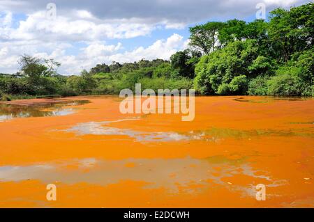 Swaziland Hhohho district Ezulwini valley (valley of Heaven) Mlilwane Wildlife Sanctuary Stock Photo