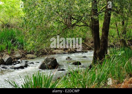 Swaziland Hhohho district Ezulwini valley (valley of Heaven) Mlilwane Wildlife Sanctuary Stock Photo