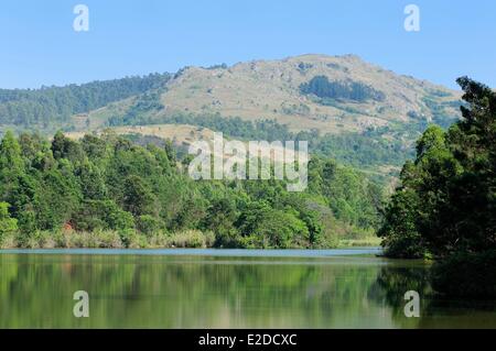 Swaziland Hhohho district Ezulwini valley (valley of Heaven) Mlilwane Wildlife Sanctuary Stock Photo