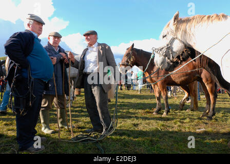 Ireland County Galway Ballinasloe the first week of October took place the largest horses fair in Europe a thousand horses are Stock Photo