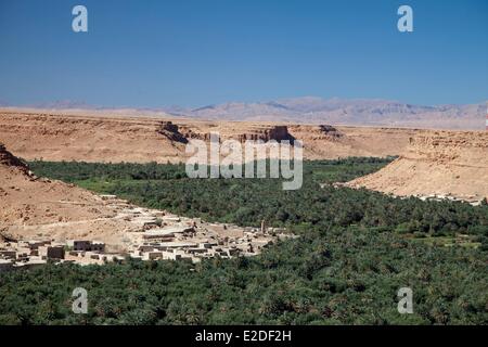 Morocco, Tafilalet region, Ziz valley, palm grove near Aoufouss Stock Photo