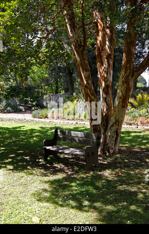 A SHADED GARDEN SEAT. UK. Stock Photo