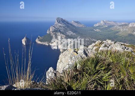 Spain Balearic islands Mallorca Cap Formentor Mirador des Colomer Stock Photo