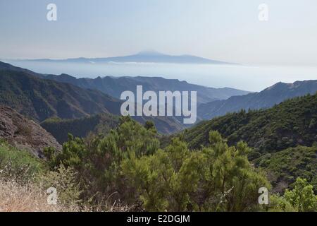 Spain, Canary islands, la Gomera island, Garajonay National Park, listed as World Heritage of UNESCO, The Teide volcano Stock Photo