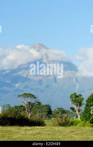 New Zealand, North Island, Egmont National Park, the Mount Taranaki is the largest andesitic stratovolcano in New Zealand Stock Photo