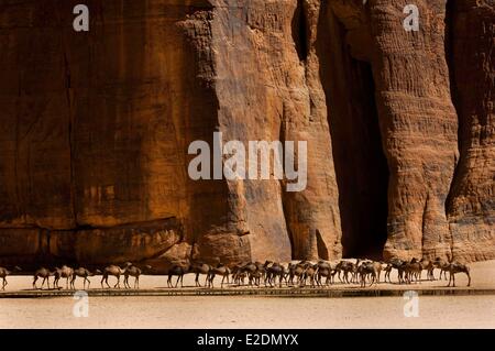 Chad Southern Sahara desert Ennedi massif guelta (water reservoir) ofArchei Stock Photo