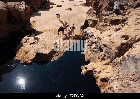 Chad Southern Sahara desert Ennedi massif Tobocou guelta or water cistern Stock Photo