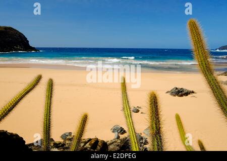 Brazil Pernambuco state island Fernando de Noronha praia do Leao Stock Photo