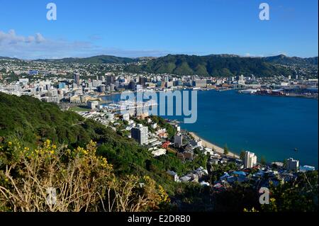 New Zealand North island Wellington Oriental Bay viewed from the top of Mount Victoria (196m) Stock Photo