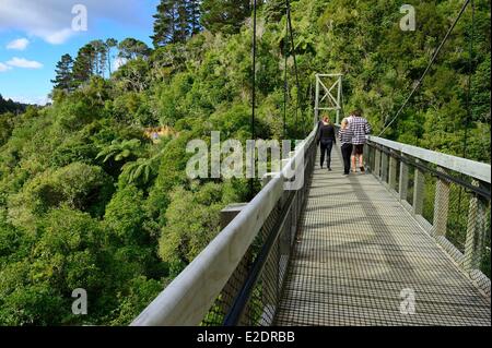 New Zealand North island Wellington Zealandia (formerly known as the Karori Wildlife Sanctuary) tucked in the hills is a Stock Photo