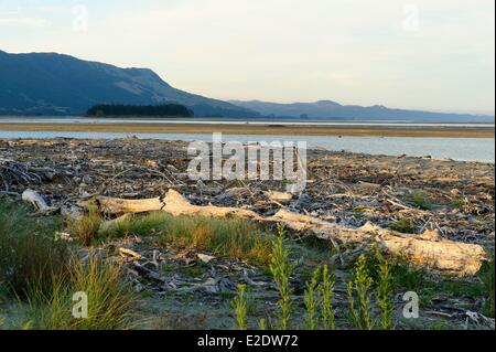 New Zealand, South island, Tasman region, Collingwood along the Golden Bay and close to Kahurangi National Park and Farewell Spit Nature Reserve Stock Photo
