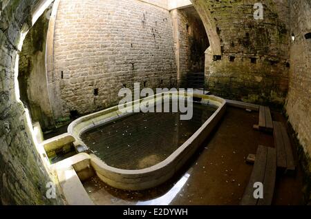 France Jura Dole Fontaine des Lepreux underground source arranged in the 18th century washhouse Stock Photo