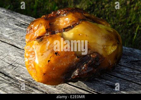 Lithuania County Neringa Nida museum gallery amber of Nida chunk of amber Stock Photo