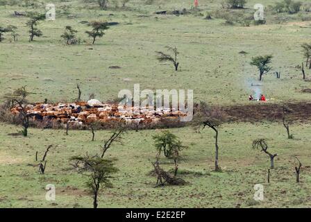 Aerial view of Maasai or Masai boma or enclosure. Kenya Stock Photo - Alamy