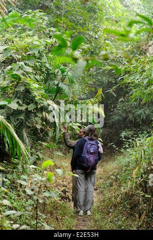 Bangladesh, Sreemangal (ou Srimangal ou Srimongol), the tea capital, the Lawachara (ou Lowacherra) National Park Stock Photo