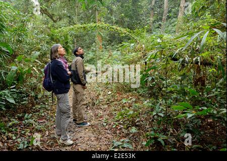 Bangladesh, Sreemangal (ou Srimangal ou Srimongol), the tea capital, the Lawachara (ou Lowacherra) National Park Stock Photo