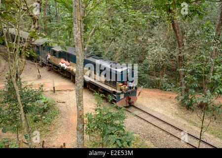 Bangladesh, Sreemangal (ou Srimangal ou Srimongol), the tea capital, the Lawachara (ou Lowacherra) National Park Stock Photo