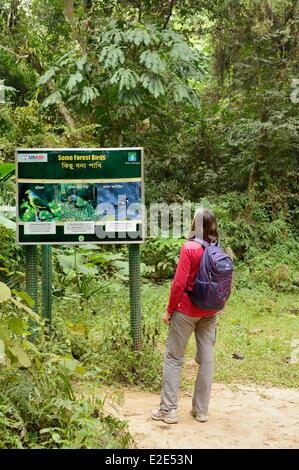 Bangladesh, Sreemangal (ou Srimangal ou Srimongol), the tea capital, the Lawachara (ou Lowacherra) National Park Stock Photo