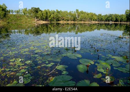 Bangladesh Sreemangal (ou Srimangal ou Srimongol) the tea capital is a hilly area with tea estates and orchards Madhobpur Lake Stock Photo