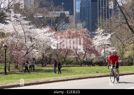 Bicyclist and Couple Enjoying  a Spring day , Central Park, NYC, USA Stock Photo
