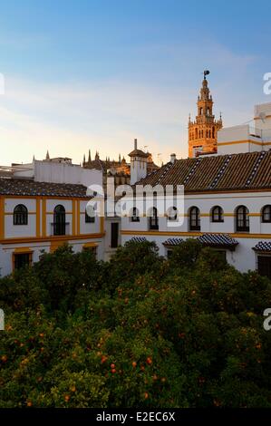 Spain Andalusia Seville Santa Cruz district plaza de Dona Elvira and the Giralda listed as World Heritage by UNESCO in the Stock Photo