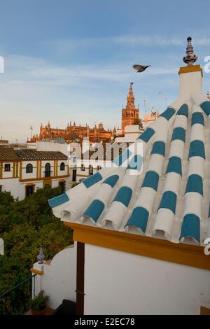 Spain, Andalusia, Seville, Santa Cruz district, plaza de Dona Elvira and the Giralda in the background Stock Photo