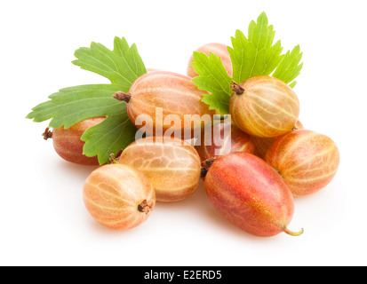 gooseberry isolated Stock Photo