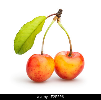 Two ripe red cherries with green stems touching on a soft peach ...