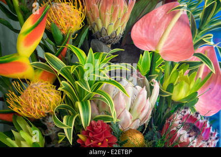 Display of tropical flowers. bouquet of tropical flowers Maui, Hawaii Stock Photo