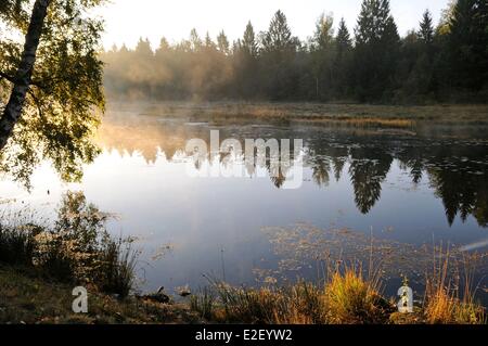 France, Haute Saone, Plateau des Mille Etangs, vers Servance, Boffy pound Stock Photo