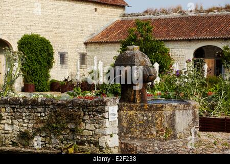 France, Indre et Loire, Lemere, Gargantua's vegetable garden Stock Photo