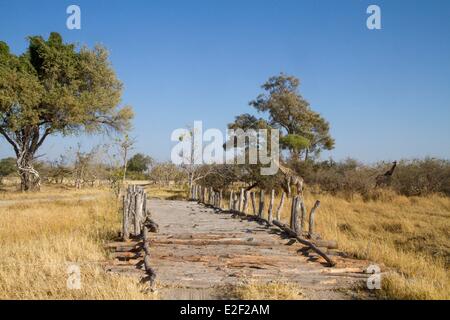 Botswana, Moremi game reserve, Wood bridge Stock Photo