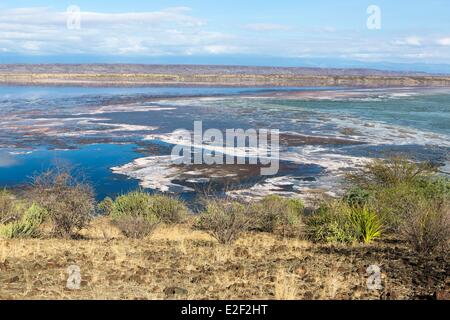 Kenya, lake Magadi, soda Stock Photo