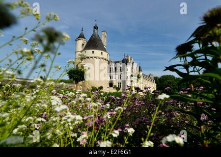 France, Indre et Loire, Chateau de Chenonceau, built between 1513-1521 in Renaissance style, over the Cher river Stock Photo