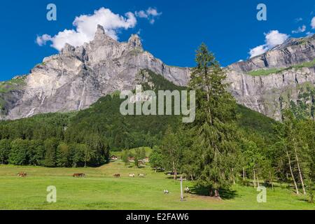 France, Haute-Savoie, Giffre valley, Sixt Fer a Cheval, Cirque du Fer a Cheval classified Grand Site de France Stock Photo