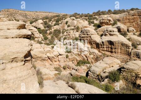 Jordan, Tafilah Governorate, Dana, Dana Nature Reserve largest biosphere reserve, arid landscape Stock Photo