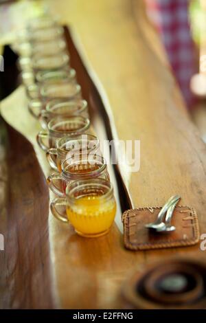 Indonesia, Bali, near Ubud, coffee plantation, coffee tasting Stock Photo