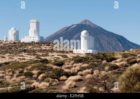 Spain Canary Islands Isle of Tenerife Teide National Park listed as World Heritage by UNESCO the summit of the volcano El Teide Stock Photo