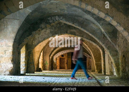 France, Gard, Sommieres, Marketplace, arch of the Roman inhabited bridge of 1st background century, medieval party Stock Photo