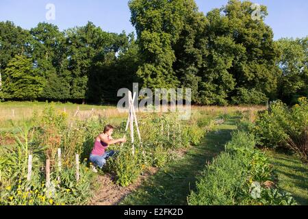 France, Seine et Marne, Vernou la Celle sur Seine, Graville castle, vegetable garden Stock Photo