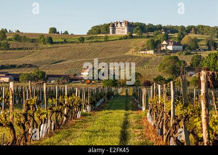 France, Dordogne (24), Perigord Pourpre, Monbazillac vineyards and castle Stock Photo