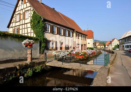 France Bas Rhin Wissembourg Bruch district Lauter River banks Stock Photo