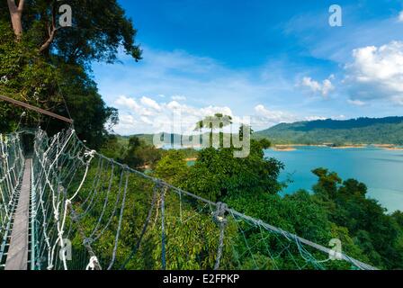 Malaysia Malaysian Borneo Sarawak State Lake Batang Ai Batang Ai National Park Canopy walkway through the forest Stock Photo