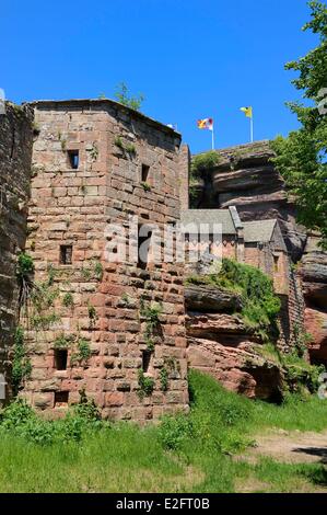 France Bas Rhin Saverne Haut Barr castle dated 11th to 14th century Stock Photo