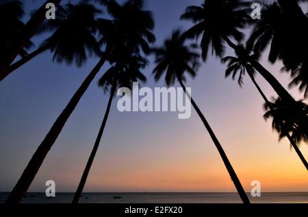 Vietnam Binh Thuan Province Mui Ne the beach palm trees at sunrise Stock Photo