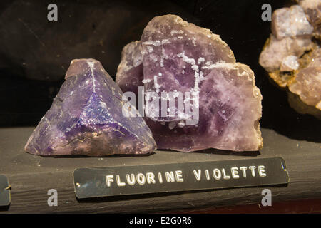 France Seine Maritime Rouen Museum of Natural History paleontology room Stock Photo