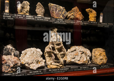 France Seine Maritime Rouen Museum of Natural History paleontology room Stock Photo