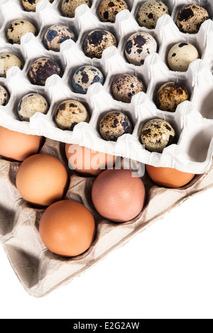 eggs in the package on a white background Stock Photo