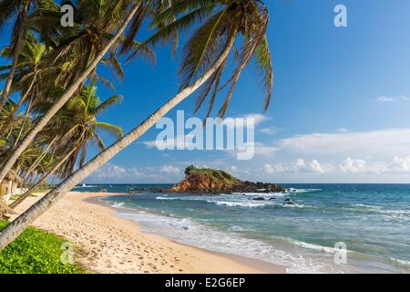 Sri Lanka Southern province Matara district Mirissa beach Stock Photo